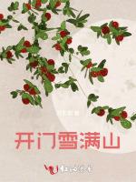 开门雪满山