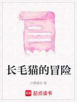 长毛猫的冒险