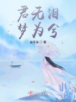 君无泪梦为兮