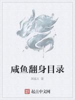 咸鱼翻身目录