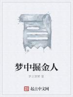 梦中掘金人