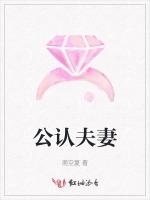 公认夫妻