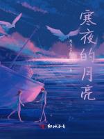 寒夜的月亮