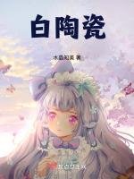 白陶瓷
