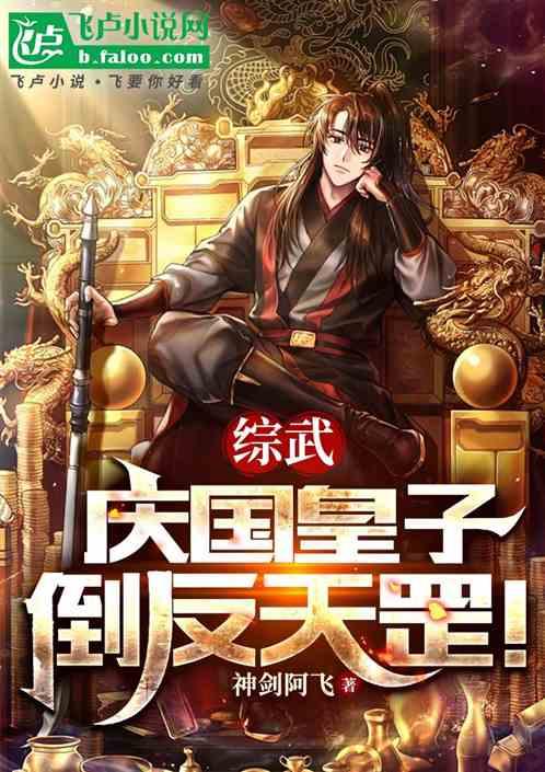 综武：庆国皇子，倒反天罡！