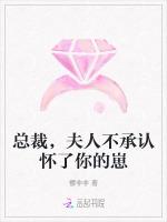 总裁，夫人不承认怀了你的崽