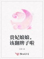 贵妃娘娘，该翻牌子啦