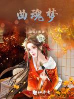 曲魂梦