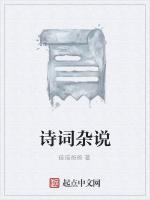 诗词杂说