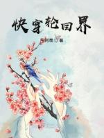 快穿轮回界