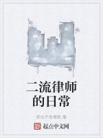 二流律师的日常