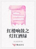 红楼响鼓之灯红酒绿