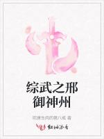 综武之邢御神州
