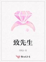 致先生