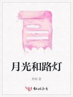 月光和路灯
