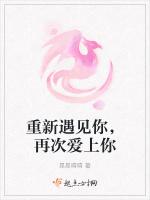 重新遇见你，再次爱上你
