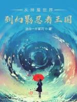 乐高幻影忍者：且行且随风