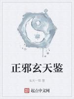 正邪玄天鉴