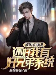被困在缅北，还好我有好兄弟系统