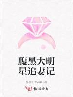 腹黑大明星追妻记