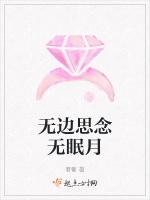 无边思念无眠月