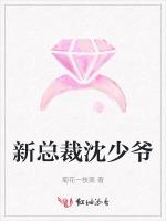新总裁沈少爷