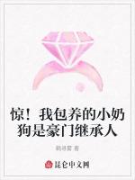 惊！我包养的小奶狗是豪门继承人
