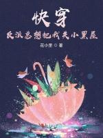 快穿：反派总想把我关小黑屋