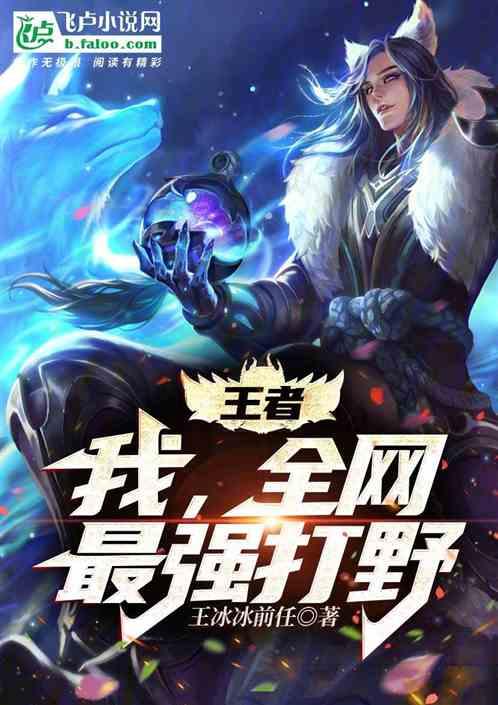 王者：我，全网最强打野！