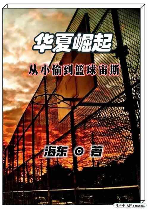 华夏崛起：从小偷到篮球宙斯