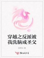 穿越之反派被我洗脑成圣父