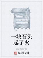 一块石头起了火