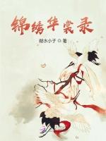 锦绣华裳录