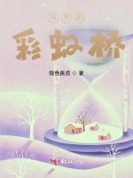 消失的彩虹桥