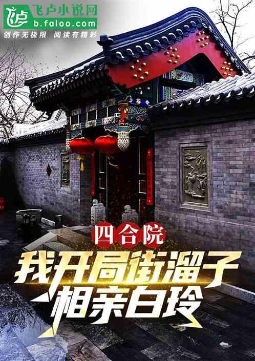 四合院：我开局街溜子，相亲白玲