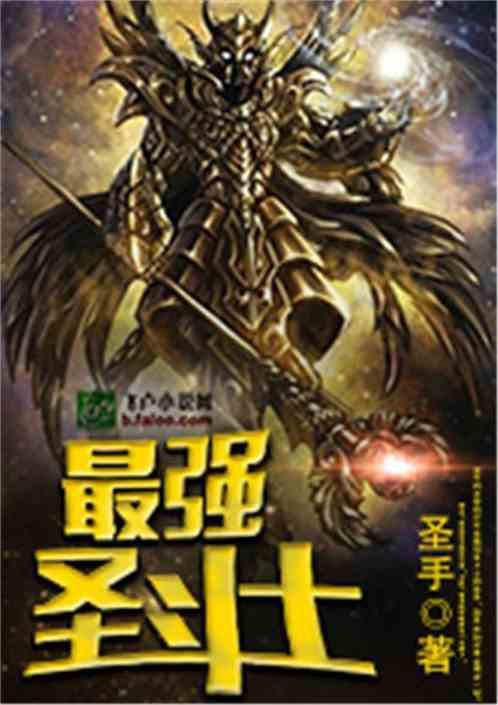 最强圣斗士