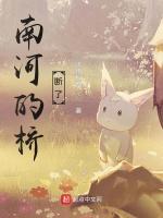 南河的桥断了