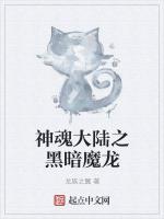 神魂大陆之黑暗魔龙