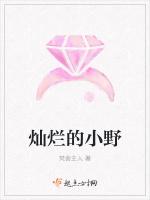 灿烂的小野