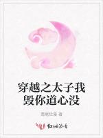 穿越之太子我毁你道心没