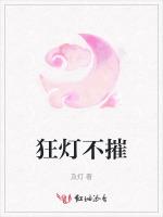 狂灯不摧