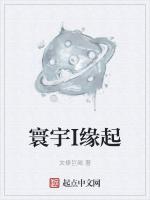 寰宇I缘起