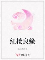 红楼良缘