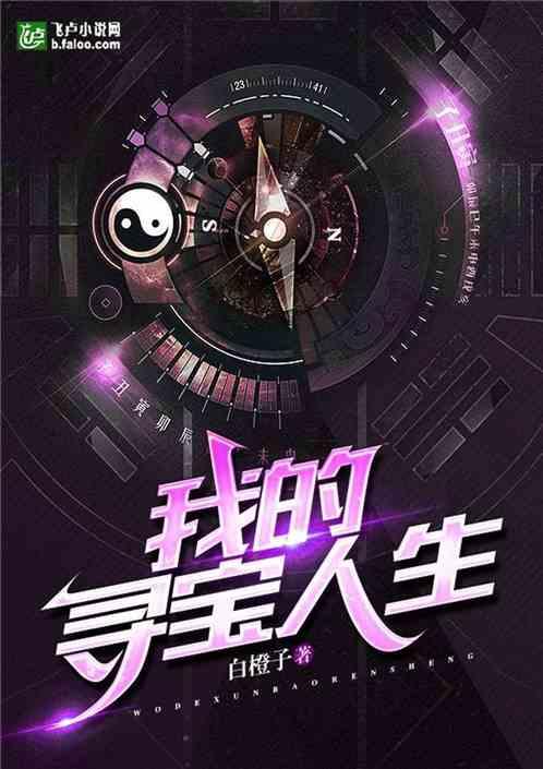我的寻宝人生