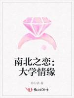 南北之恋：大学情缘