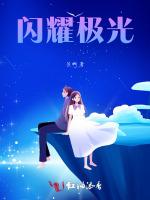 闪耀极光