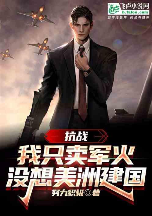 抗战：我只卖军火，没想美洲建国