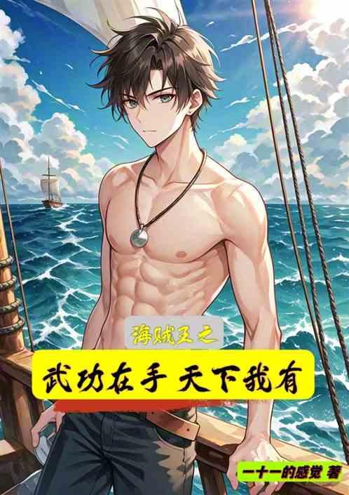 海贼王之武功在手，天下我有