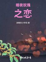 暗夜玫瑰之恋