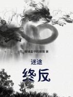 迷途终反